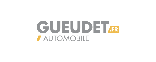logo partenaire gueudet