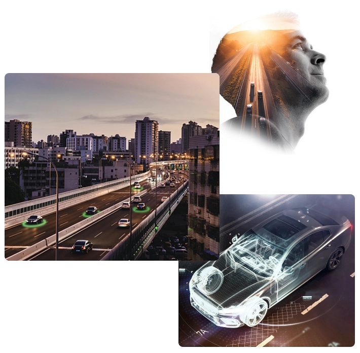 coyote image intro page d accueil